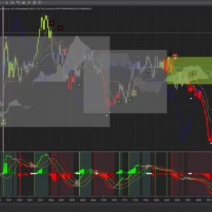 NinjaTrader Advanced Module
